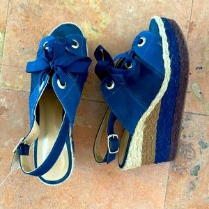 Blue wedges